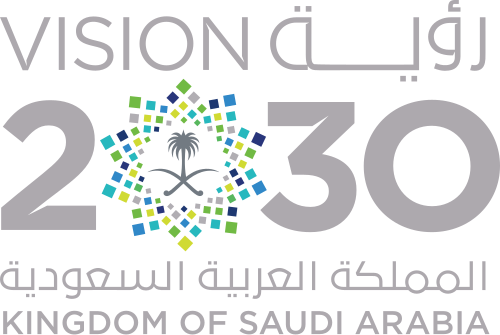 Saudi Vision 2030, through procurement collaborator experience